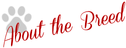 about-breed